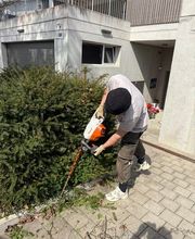 Gartencoach Dario Peyer Bild 1