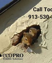 ecoPRO Wildlife Solutions image 7