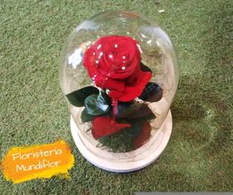 Floristeria Mundiflor imagen 19