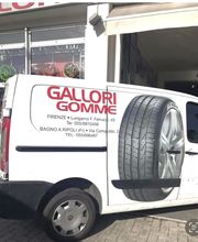 Gallery Cliente