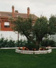 Talleres Sibel imagen 10