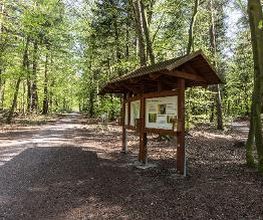 FriedWald Buxtehude Bild 8