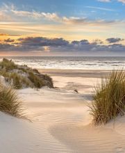 Fokusschmiede Bild 3