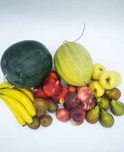 MES FRESC QUE MAI S.L. imagen 6