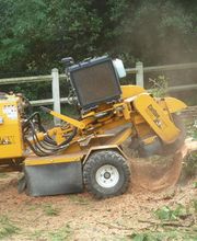 L'Art Boricole image 8