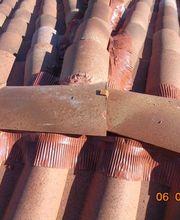 Co Expert image 3