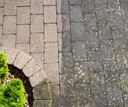Jurak Gartendesign Bild 4