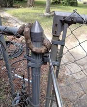 Critter Control image 16