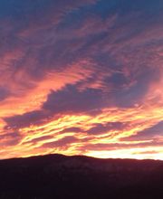 Cécile Castagnet image 12