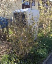 Tinner Heizungen AG Bild 5