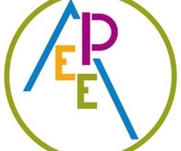 A.P.E.E.R image 8