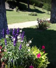 MDF Paysage image 1