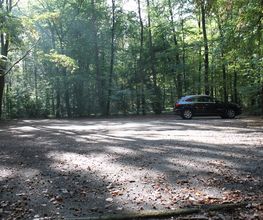 FriedWald Meroder Wald Bild 8