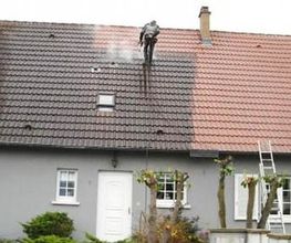 Best Reno image 19