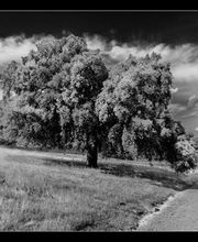 foto-iferga-paisajes-03.jpg
