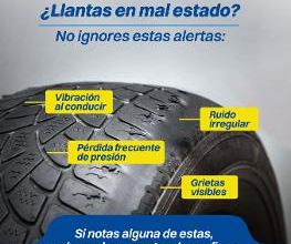 Llantas y Rines del Guadiana Centro Camionero Periférico Torreón imagen 2
