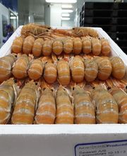 Gilles et Compagnie image 7