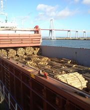 bifesa-exportacion-forestales-02.jpg