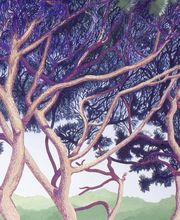 Atelier Bernard Héloua-Grimaldi image 4