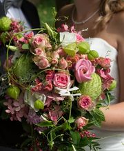 Sommerer & Co Bild 9