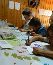 Centre Equestre des Cavalous image 3