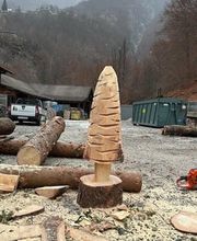 ONSFOREST Sagl Bild 14