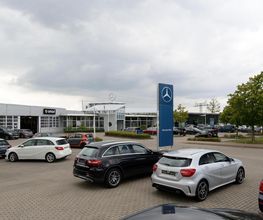 STERNAUTO Bild 1