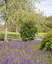 Heime Uster Pflegezentrum Dietenrain Bild 3