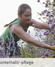 Alabor Gartenbau AG Bild 2