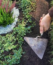 Dürig Gartenbau Bild 6