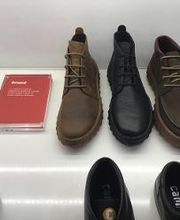 Camper Torino Milano immagine 12