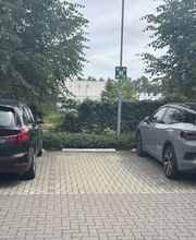 planting GmbH Bild 5