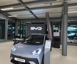 BYD | Senger Bild 4