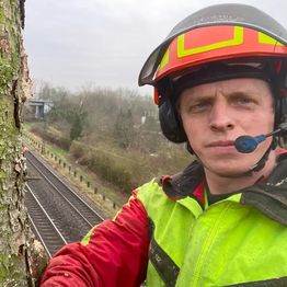 Astreine Baumarbeiten - zertifizierter Baumpfleger Sascha Huth