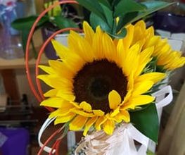 19633494-1-3IzypZL51p1552998375676.jpeg