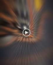 panzasrl.com immagine 11