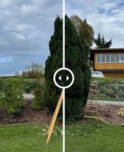 Garten Vibes GmbH Bild 2