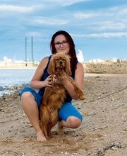 Hundezentrum Lapki Bild 1