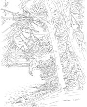 Cortella Manuel image 16