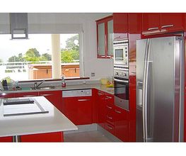 COLOR Cuisines image 8