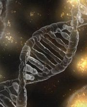 Pignolet Nathalie image 5