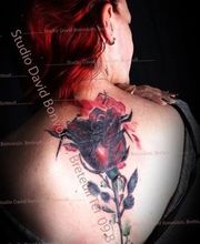 Bonvoisin David Studio image 1