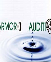 Armor Audition image 8