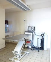 Cabinet Veterinaire de Chat-Ours image 5