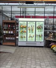 Bee wie Blumen Bild 6