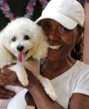 Fido Fido Dog Daycare & Boarding image 7