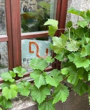 DU Personalmanagement GmbH Bild 6