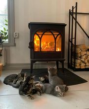 Jotul Varennes le Grand image 11