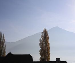Weiss Zahnärzte AG Bild 7