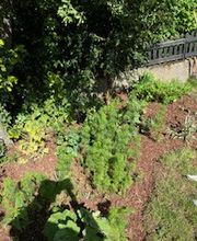 Grundstückspflege und Motorsägenkunst Colin Sand Bild 10